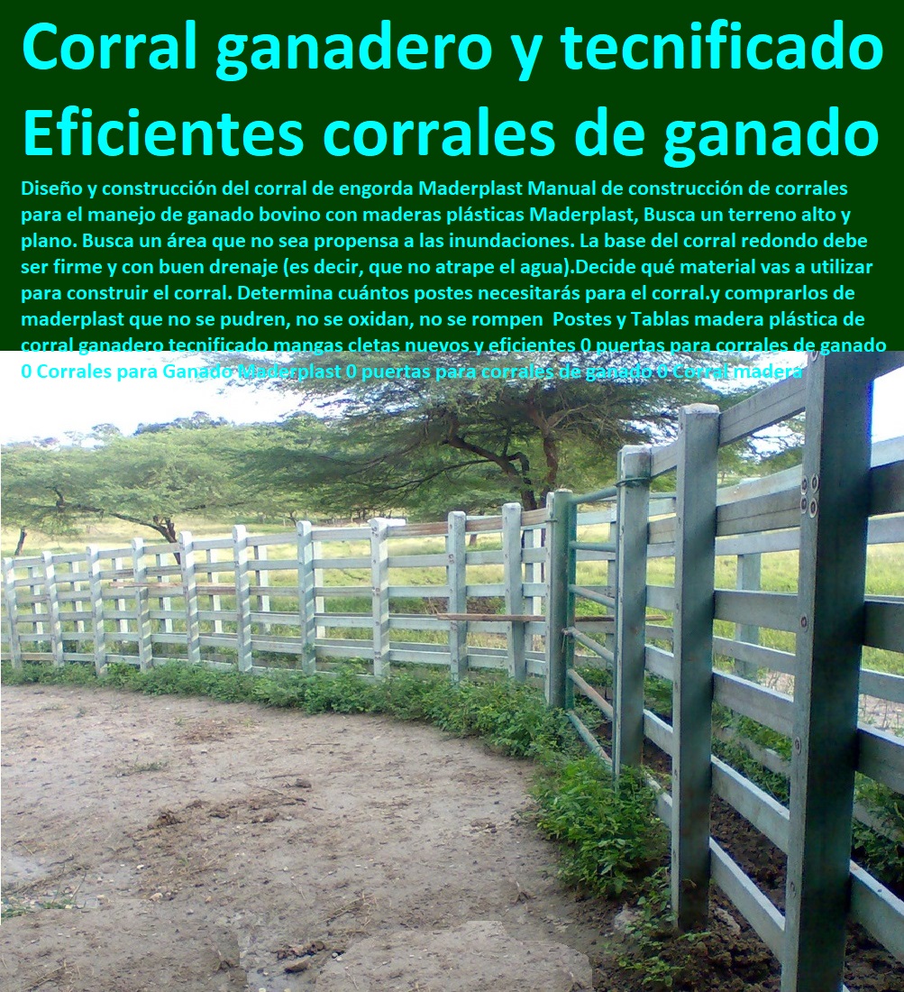 Manga y Calcetas Curvas Cerradas Embudos Paredes Maderplast Corral Plástico 0 Como Estabular El Ganado en Corrales 0 Giras Técnicas Ganaderas Corrales Maderplast 0 embudos Rústicos Para Ganado 0 Venta Manga Calcetas curvas Ganado Manga y Calcetas Curvas Cerradas Embudos Paredes Maderplast Corral Plástico 0 Como Estabular El Ganado en Corrales 0 Sistemas de Pastoreo, Estabulación de Ganado, Pastoreo Intensivo, Establos, Corrales, Saladeros, Comederos, Cerramientos, Postes, Ganaderías Tecnificadas, Ganaderías Tecnificadas, Explotación Ganadera Automatizada, Giras Técnicas Ganaderas Corrales Maderplast 0 embudos Rústicos Para Ganado 0 Venta Manga Calcetas curvas Ganado